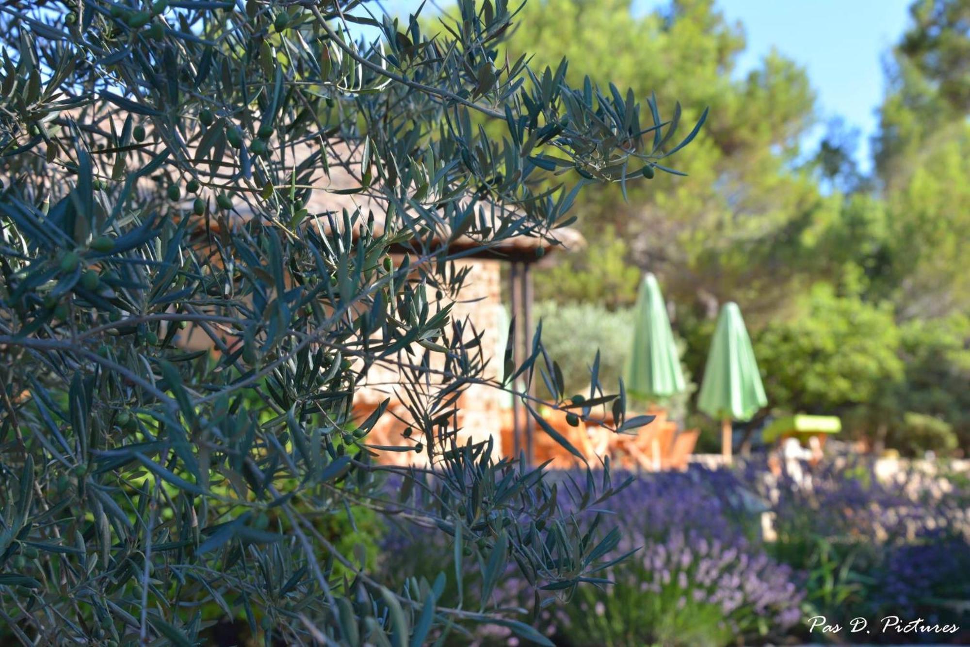 Le Jas De Joucas Hotel-Restaurant Dış mekan fotoğraf